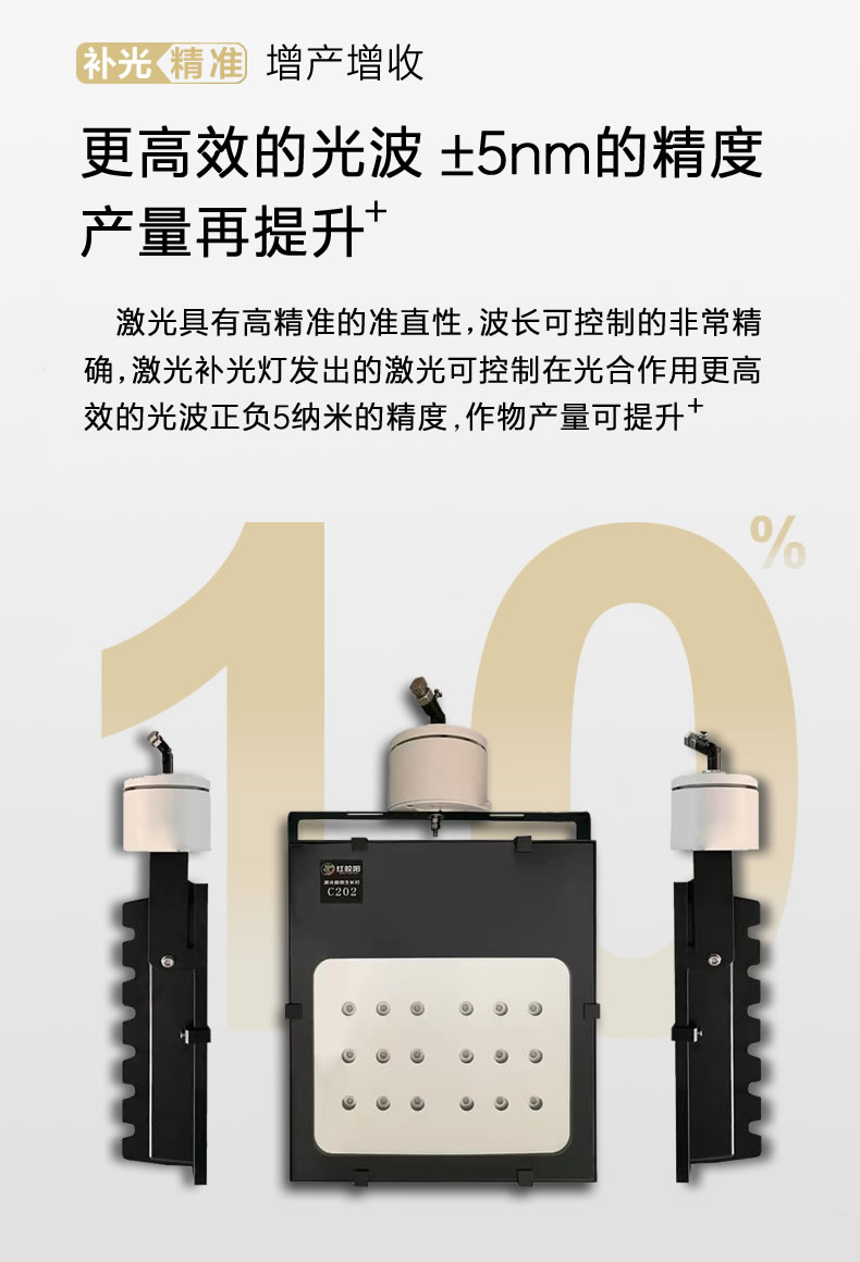 04.jpg